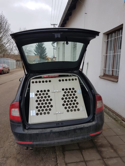 Zakázkový přepravní box pro psy z polypropylenu